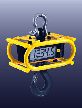 Crane scale with protective cage